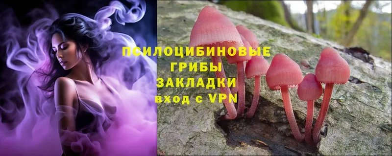 Галлюциногенные грибы MAGIC MUSHROOMS Кимры